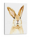 Bunn Ii - Susan Savory | Cuadro decorativo de Canvas Lab