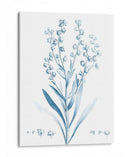 Antiguo Botánico En Azul I - Vision Studio | Cuadro decorativo de Canvas Lab