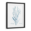 Antiguo Botánico En Azul I - Vision Studio | Cuadro decorativo de Canvas Lab