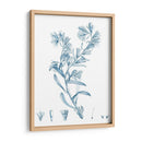 Antiguo Botánico En Azul Ii - Vision Studio | Cuadro decorativo de Canvas Lab