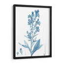 Antiguo Botánico En Azul Iii - Vision Studio | Cuadro decorativo de Canvas Lab
