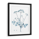 Antiguo Botánico En Azul Iv - Vision Studio | Cuadro decorativo de Canvas Lab