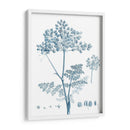 Antiguo Botánico En Azul Vi - Vision Studio | Cuadro decorativo de Canvas Lab