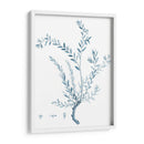 Antiguo Botánico En Azul Vii - Vision Studio | Cuadro decorativo de Canvas Lab