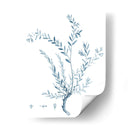 Antiguo Botánico En Azul Vii - Vision Studio | Cuadro decorativo de Canvas Lab