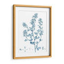 Antiguo Botánico En Azul Viii - Vision Studio | Cuadro decorativo de Canvas Lab