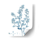 Antiguo Botánico En Azul Viii - Vision Studio | Cuadro decorativo de Canvas Lab