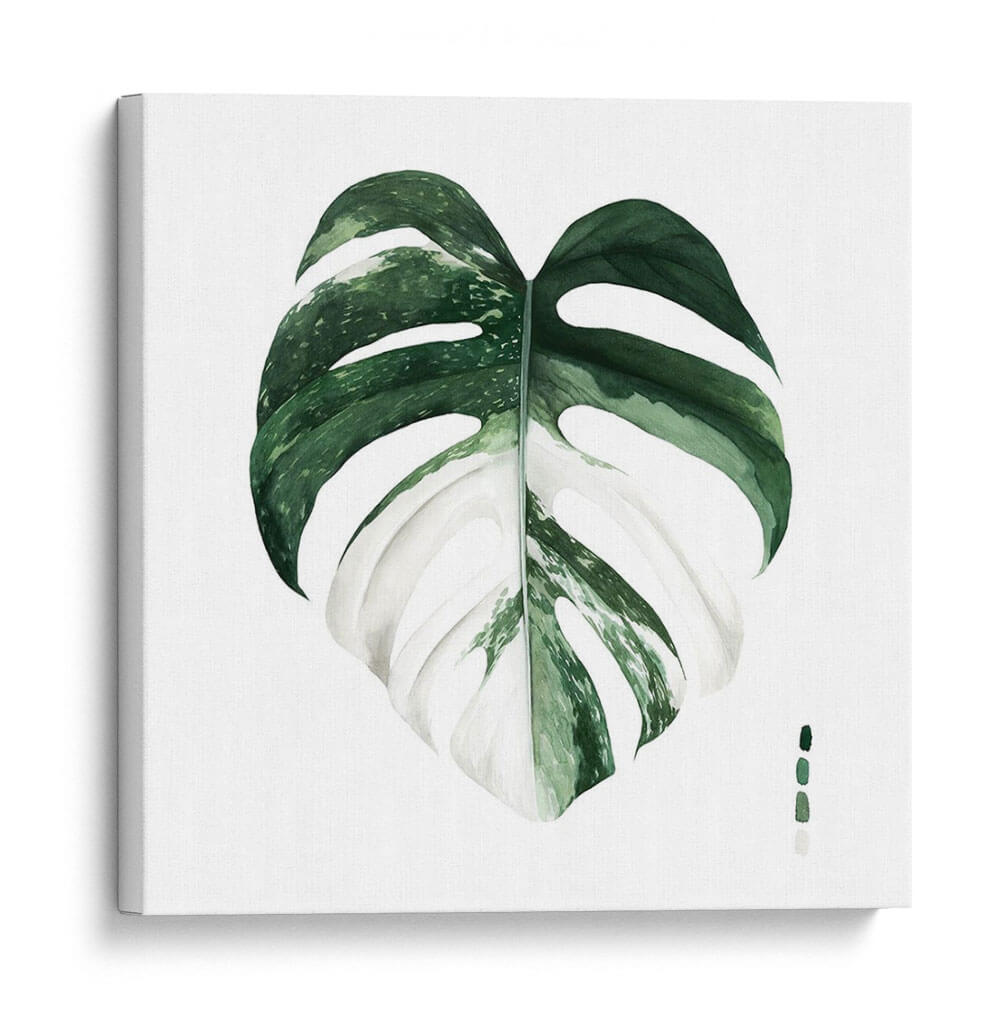 Monstera I - Grace Popp | Cuadro decorativo de Canvas Lab