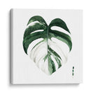 Monstera I - Grace Popp | Cuadro decorativo de Canvas Lab