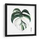 Monstera I - Grace Popp | Cuadro decorativo de Canvas Lab
