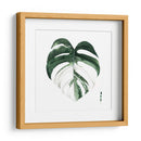 Monstera I - Grace Popp | Cuadro decorativo de Canvas Lab