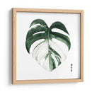 Monstera I - Grace Popp | Cuadro decorativo de Canvas Lab