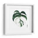 Monstera I - Grace Popp | Cuadro decorativo de Canvas Lab