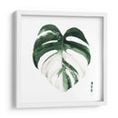 Monstera I - Grace Popp | Cuadro decorativo de Canvas Lab