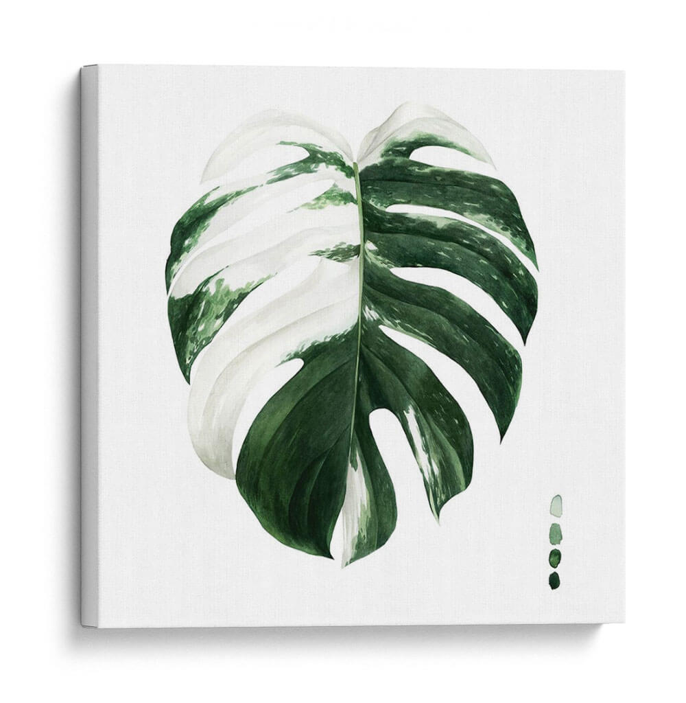 Monstera Ii Abigarrada - Grace Popp | Cuadro decorativo de Canvas Lab