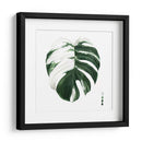 Monstera Ii Abigarrada - Grace Popp | Cuadro decorativo de Canvas Lab