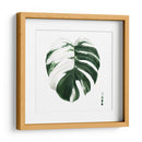 Monstera Ii Abigarrada - Grace Popp | Cuadro decorativo de Canvas Lab