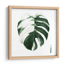 Monstera Ii Abigarrada - Grace Popp | Cuadro decorativo de Canvas Lab