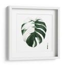 Monstera Ii Abigarrada - Grace Popp | Cuadro decorativo de Canvas Lab