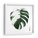 Monstera Ii Abigarrada - Grace Popp | Cuadro decorativo de Canvas Lab