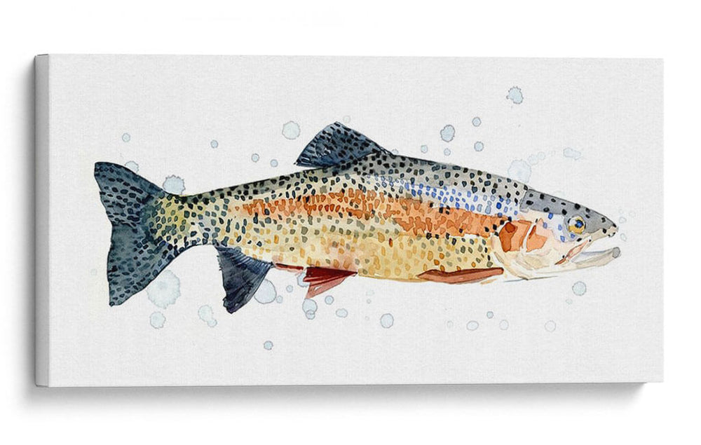 Acuarela Trucha Arco Iris I - Gerard Paul Deshayes | Cuadro decorativo de Canvas Lab