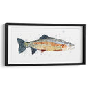 Acuarela Trucha Arco Iris I - Gerard Paul Deshayes | Cuadro decorativo de Canvas Lab