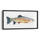 Acuarela Trucha Arco Iris I - Gerard Paul Deshayes | Cuadro decorativo de Canvas Lab