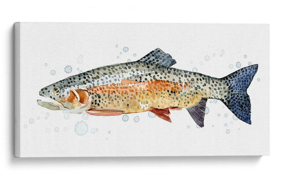 Acuarela Trucha Arco Iris Ii - Gerard Paul Deshayes | Cuadro decorativo de Canvas Lab