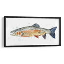 Acuarela Trucha Arco Iris Ii - Gerard Paul Deshayes | Cuadro decorativo de Canvas Lab