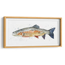 Acuarela Trucha Arco Iris Ii - Gerard Paul Deshayes | Cuadro decorativo de Canvas Lab