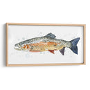 Acuarela Trucha Arco Iris Ii - Gerard Paul Deshayes | Cuadro decorativo de Canvas Lab