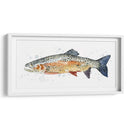 Acuarela Trucha Arco Iris Ii - Gerard Paul Deshayes | Cuadro decorativo de Canvas Lab