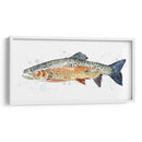 Acuarela Trucha Arco Iris Ii - Gerard Paul Deshayes | Cuadro decorativo de Canvas Lab