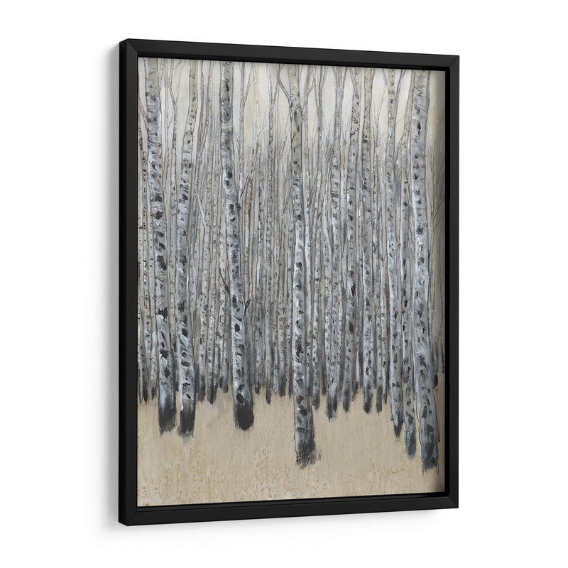 Neutral Aspen Ii - Tim OToole | Cuadro decorativo de Canvas Lab