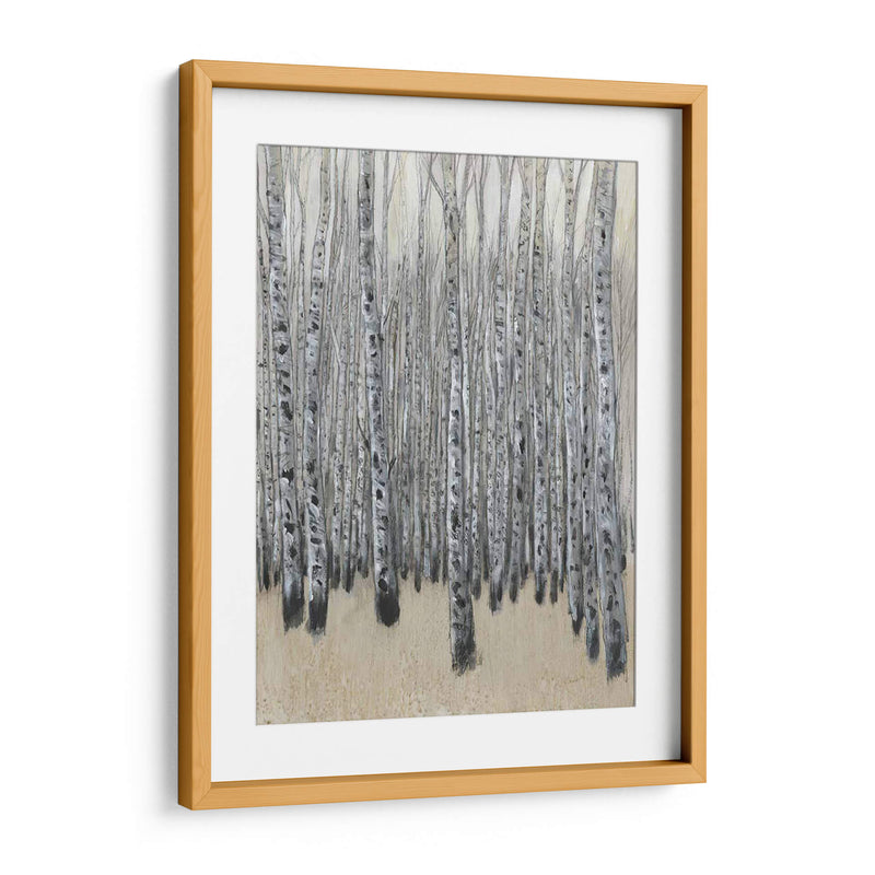 Neutral Aspen Ii - Tim OToole | Cuadro decorativo de Canvas Lab