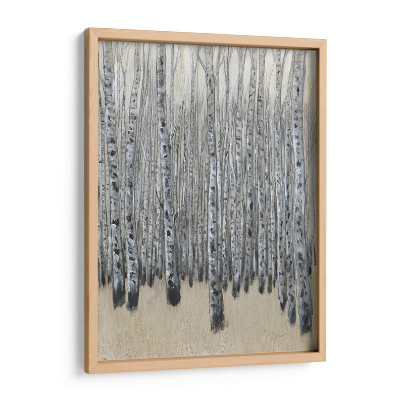 Neutral Aspen Ii - Tim OToole | Cuadro decorativo de Canvas Lab