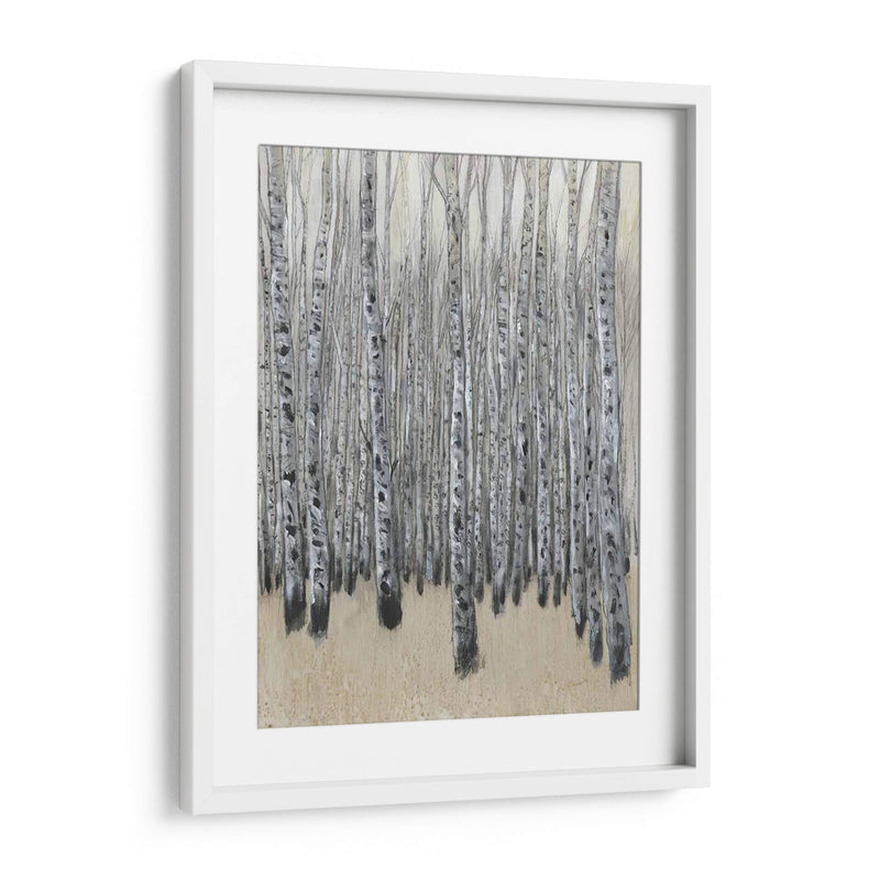 Neutral Aspen Ii - Tim OToole | Cuadro decorativo de Canvas Lab