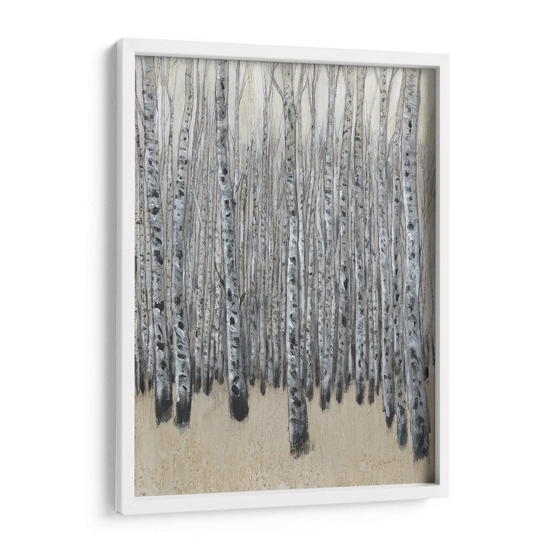 Neutral Aspen Ii - Tim OToole | Cuadro decorativo de Canvas Lab