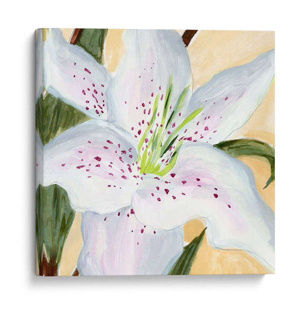 Lirio Blanco I - Jacob Green | Cuadro decorativo de Canvas Lab