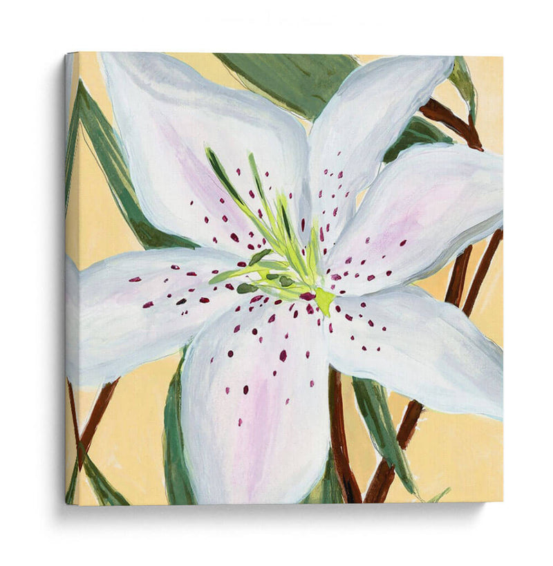 Lily Ii Blanco - Jacob Green | Cuadro decorativo de Canvas Lab