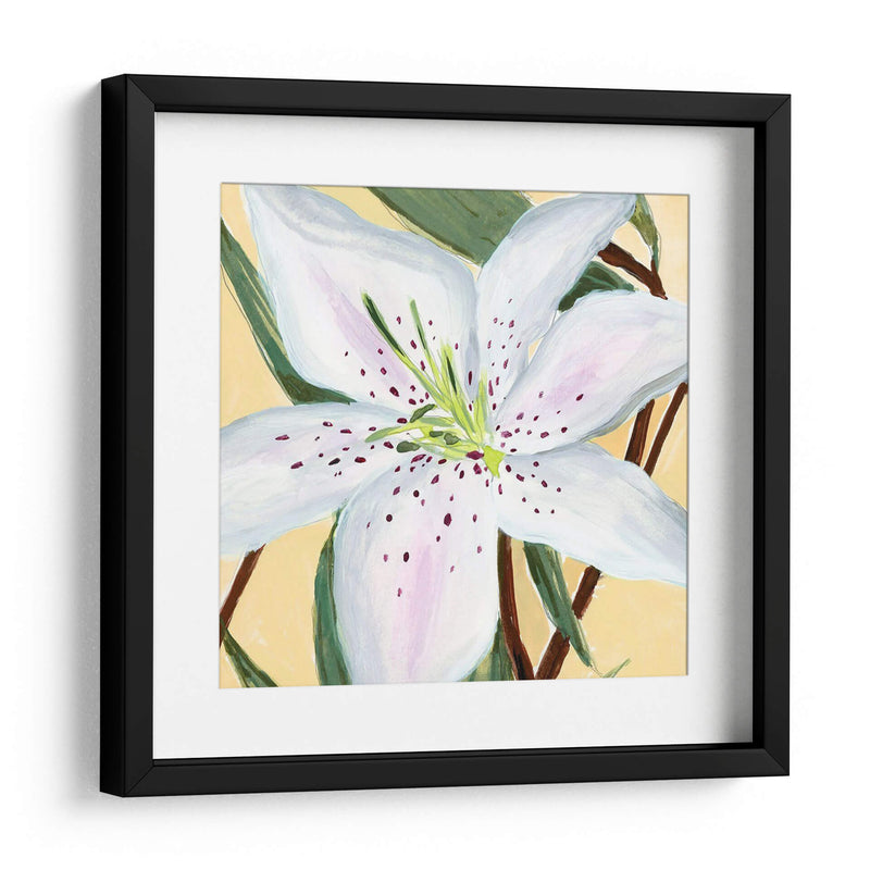 Lily Ii Blanco - Jacob Green | Cuadro decorativo de Canvas Lab