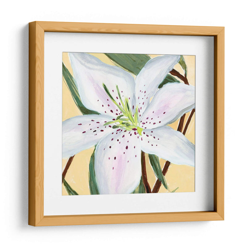 Lily Ii Blanco - Jacob Green | Cuadro decorativo de Canvas Lab