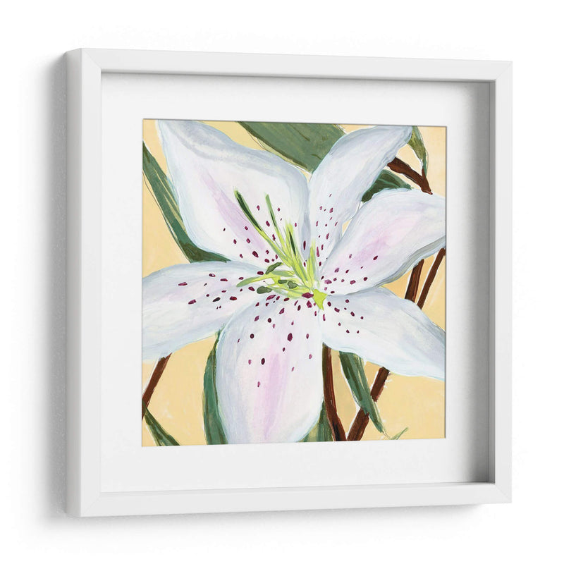 Lily Ii Blanco - Jacob Green | Cuadro decorativo de Canvas Lab