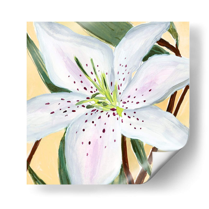 Lily Ii Blanco - Jacob Green | Cuadro decorativo de Canvas Lab