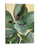 Estudio De La Planta I - Jacob Green | Cuadro decorativo de Canvas Lab