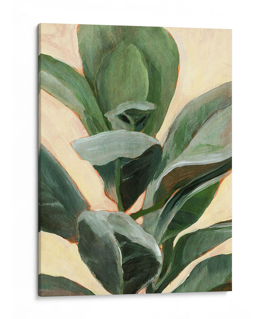 Estudio De Plantas Ii - Jacob Green | Cuadro decorativo de Canvas Lab