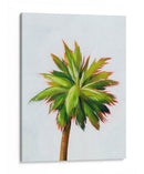 Palm Glow Ii - Grace Popp | Cuadro decorativo de Canvas Lab