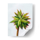 Palm Glow Ii - Grace Popp | Cuadro decorativo de Canvas Lab