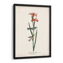 Pl. 15 Curruca Azul Amarillo-Atrás - John James Audubon | Cuadro decorativo de Canvas Lab