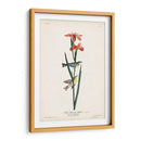 Pl. 15 Curruca Azul Amarillo-Atrás - John James Audubon | Cuadro decorativo de Canvas Lab